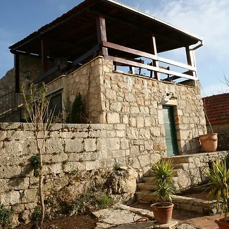Unique Dalmatian House *