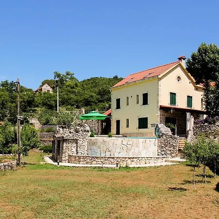 Unique Dalmatian House