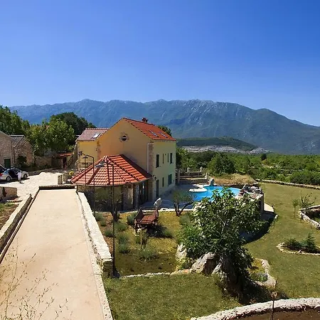 Unique Dalmatian House *