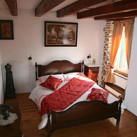 Unique Dalmatian House *