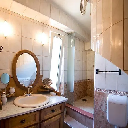 Unique Dalmatian House