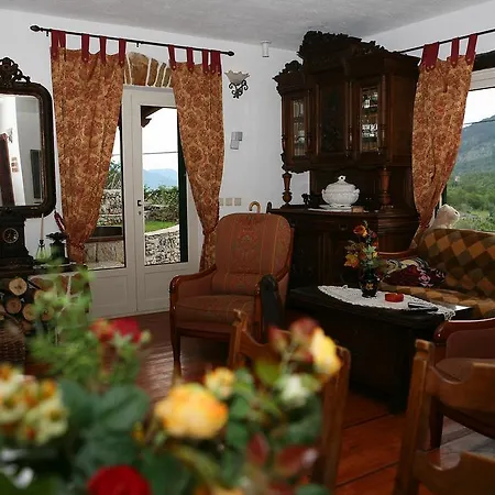 Unique Dalmatian House